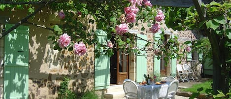 Al fresco dining under grape vines