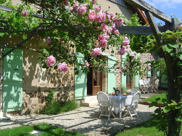 terrace underneath the grapes & kiwis