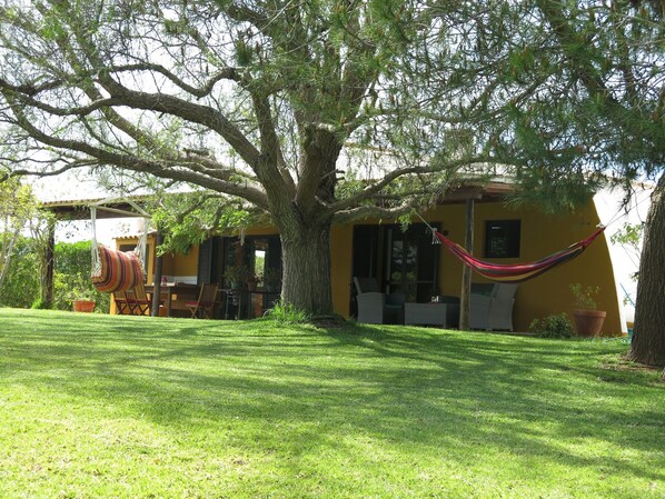 A lovely shady pepper tree to laze in the hammock and hanging chair!
