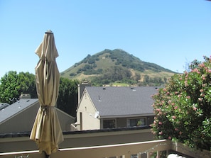 San Luis Mountain from front patio. Nice seating and umbrella
