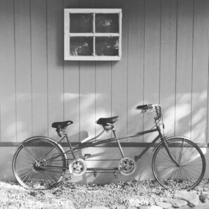 FRONT YARD - FULL OF NOSTALGIA