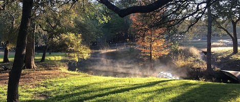 Stream flows through the property
