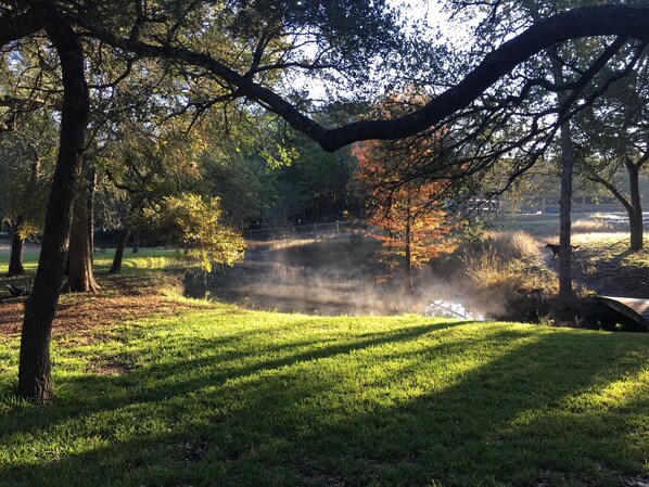 Stream flows through the property
