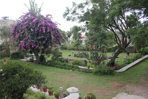 Lawn