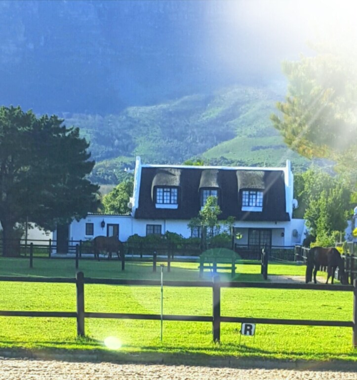 Picture of villa