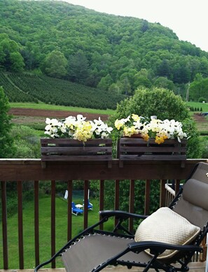 Retreat sm porch w/ short range mountain view as seen from your bedrm door entry