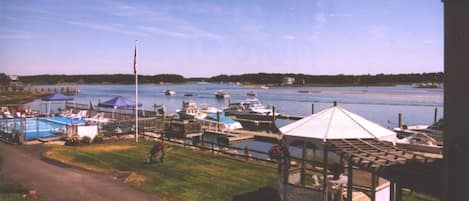 View of common area, pool and docks