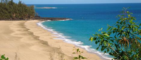 One of many Beaches near our home