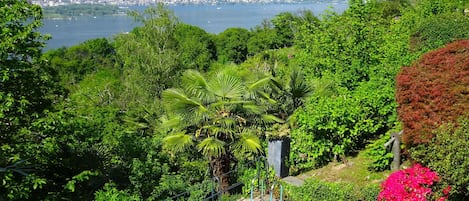 Agua, Planta, Cielo, Propiedad, Montaña, Flor, Verde, Edificio, Azul, Azur