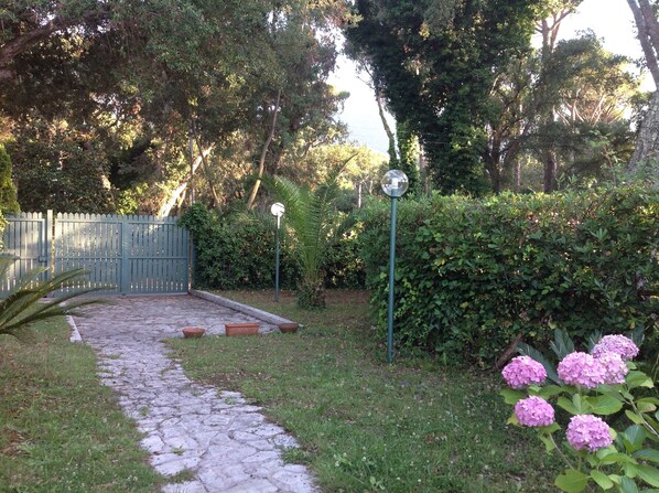 Property grounds