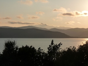 view from garden