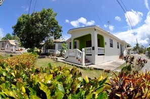 Tropical front garden