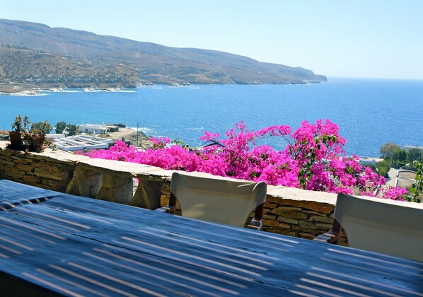 The view from the large outdoor veranda
