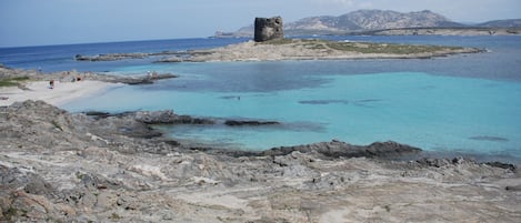 VISTA SULLA TORRE DELLA PELOSA E ISOLA ASINARA