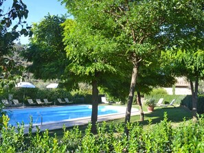 Plante, L'Eau, Arbre, Paysage Naturel, Ombre, Ciel, Végétation, Herbe, Loisir, Paysage