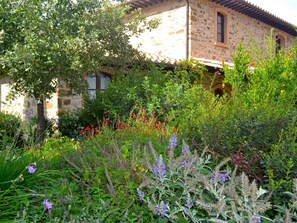 Jardin, Végétation, Fleur, Plante, Propriété, Herbe, Cour, Maison, Famille Grass, Botanique