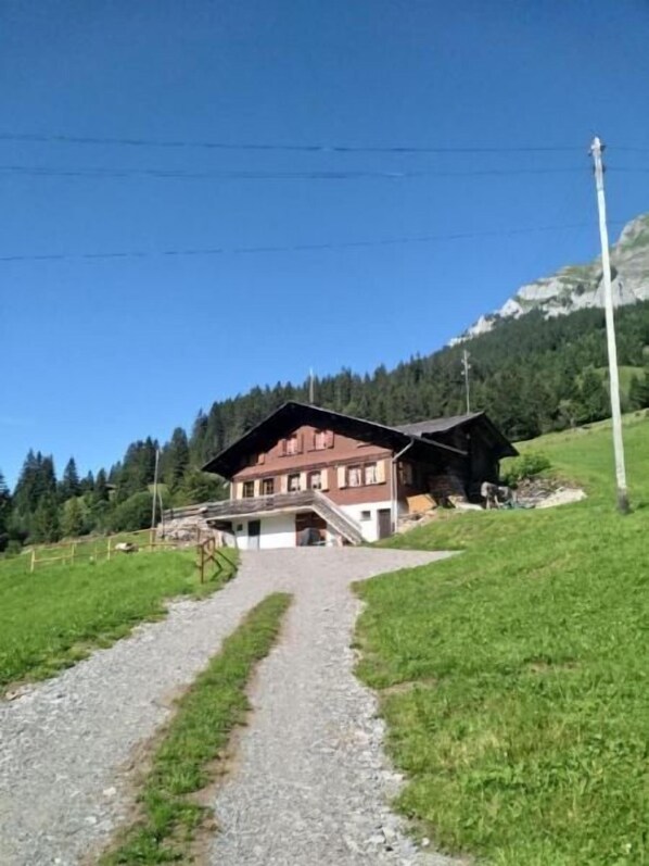 Exteriör