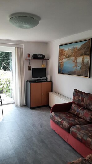 The television and the wifi system for internet