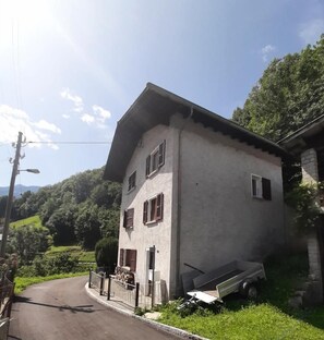 The house