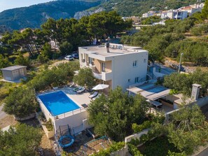 House surrounded by olive trees