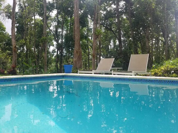 Exterior pool in the forest.