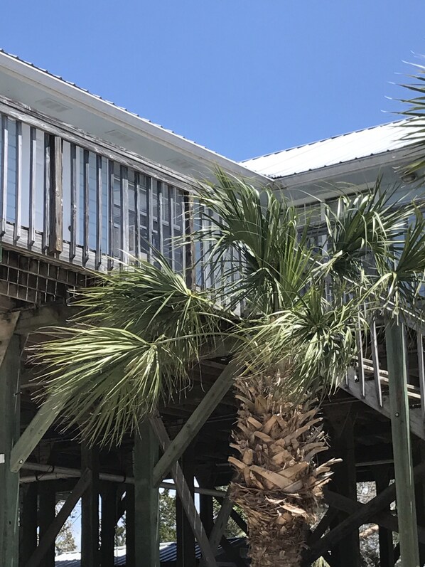 Exterior detail