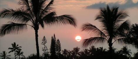 This is the view from our lanai almost every night.