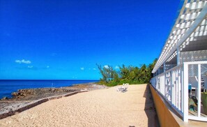 Amazing shore dive at Coconut Bay