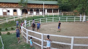 Horseback riding school for kids and adults.