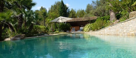 Piscine privatisée, entourée d'un jardin exotique exceptionnel. 