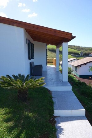 Picture 2