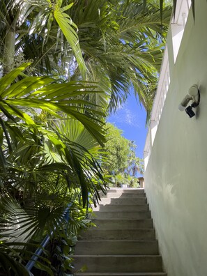 Stairs down to the apartment
