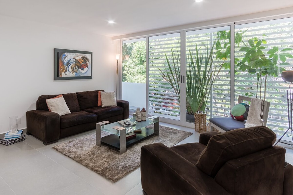 VRBO Mexico City: Apartment living room with two brown sofas