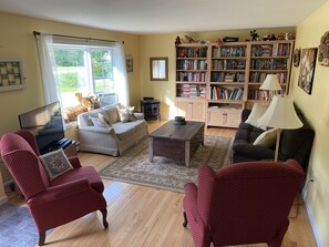Living room. Lots of books, a couple of hundred of DVDs in the cabinets, toys...