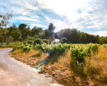 "suite Galago" very quiet location, yet only 10 minutes from the beach.