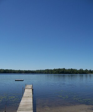 Järvi