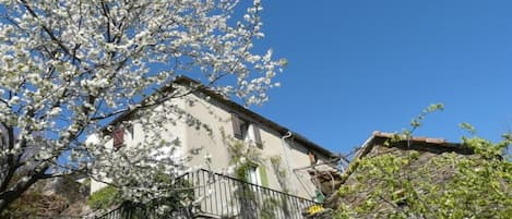 Spring at Le Vieux Mas