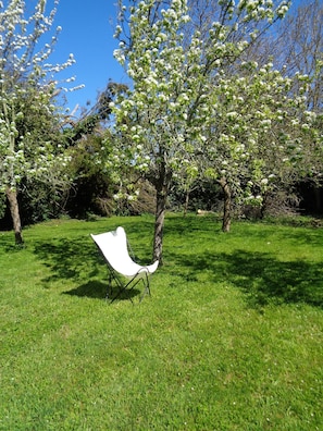 le jardin au printemps
