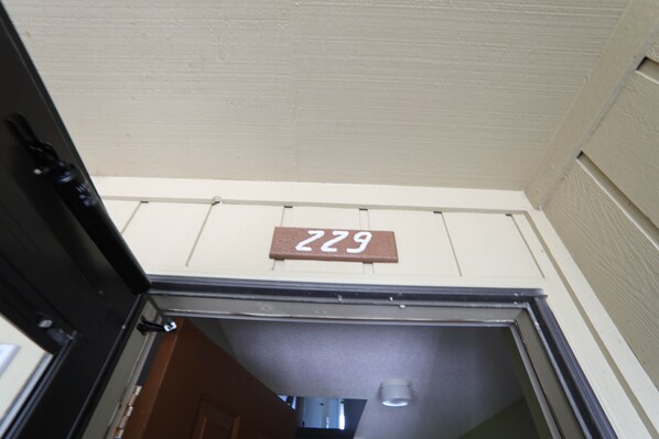 Lakefront 229