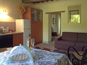 Living room with the sofa bed