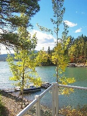 ~View From Living Room Patio~