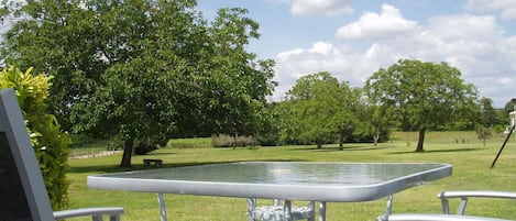 terrasse privée avec accès direct sur le grand jardin