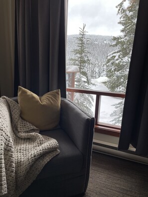 Living Room - window