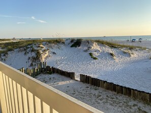 Views from the house.