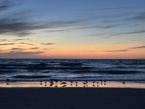 Incredible sunsets!