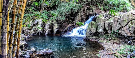 Shared waterfall swimming area