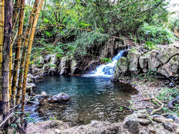 Shared waterfall swimming area