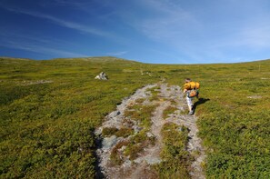 Kinderfreundliche Wanderung im Oviksfjällen