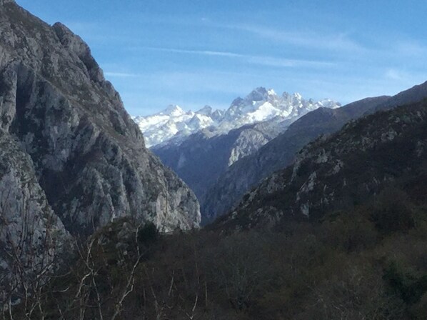 La vista desde el patio