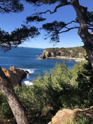 Vue sur la calanque